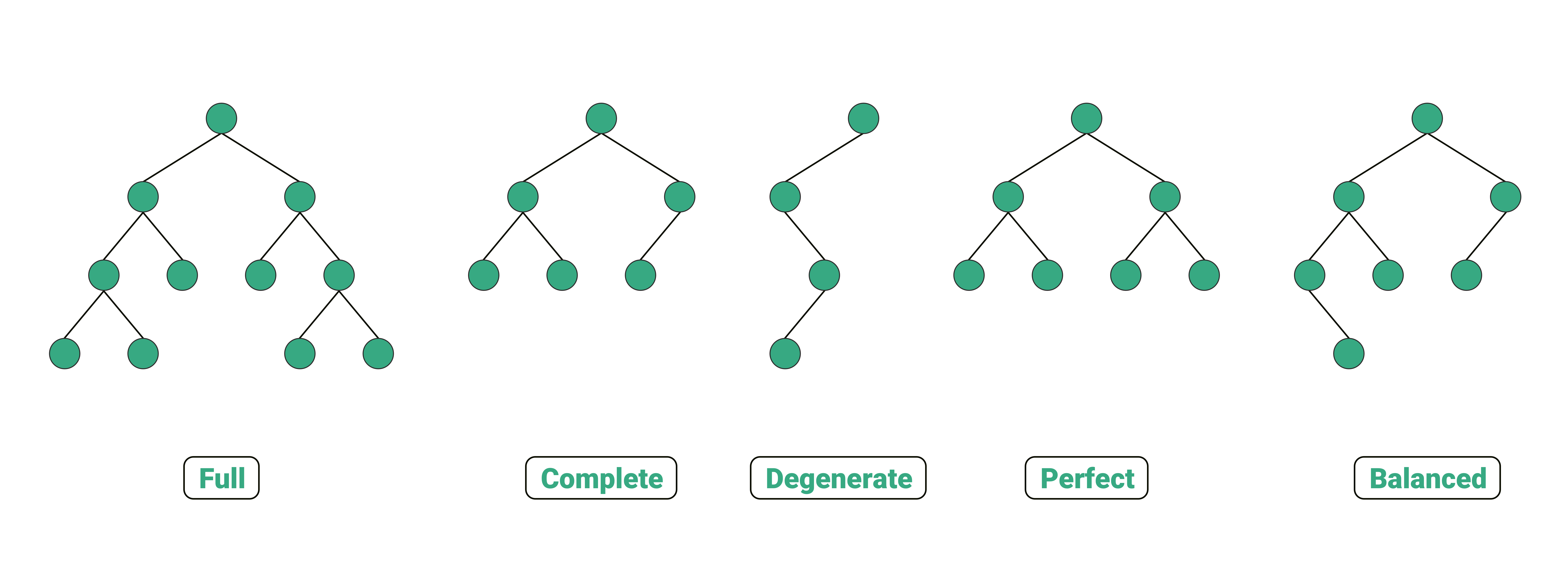 Types of Trees